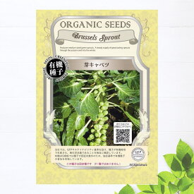 【有機種子】 芽キャベツ Sサイズ 100粒 種蒔時期 暖地：7～8月、冷地：4～5月