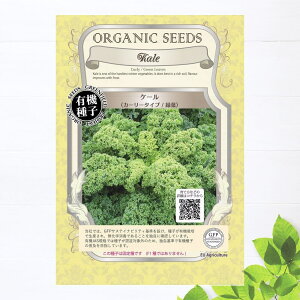 yL@qz P[/J[[^Cv/Ηt STCY 0.4g(160j 펪 3`7