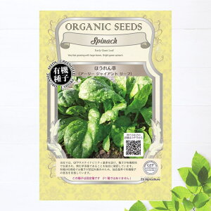 yL@qz ق  (A[[WCAg[t) STCY 4.0g(280j 펪 2`4A9`10