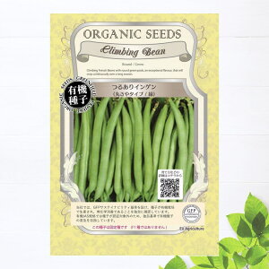 yL@qz CQ  邠CQ (W{ ۂ ) S 15 펪 3`7