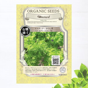 yL@qz }X^[h (炵 S[ft ) STCY 0.8g(500j 펪 3`10