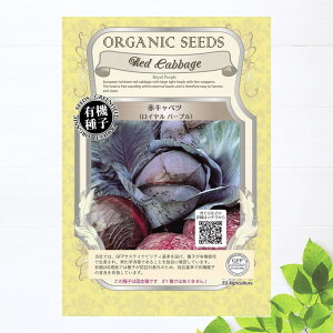 yL@qz ԃLxc  (Cp[v) STCY 60 펪3`4A10`11