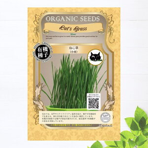 yL@qz ˂  MTCY 1dl 펪 N