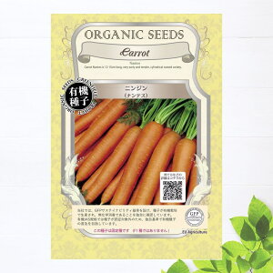 yL@qz jW  (ieX) STCY 1.5g(1000j 펪 3`9inEXF1`3j