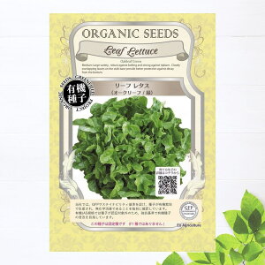 yL@qz [t^X (I[N[t ) STCY 0.05g(40j 펪 3`5A8`10