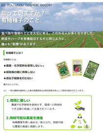 【有機種子】 セロリ（トールユタ）S 30粒 種蒔時期 5～6月