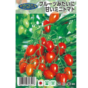 t[c݂ɊÂ~jg}g 1 10 i펪 3{`6{j