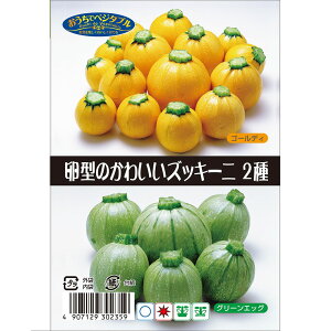 ^̂킢YbL[j 22 e5 i펪 3`5j