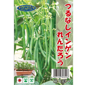 Ȃ񂰂 y񂽂낤z  50ml i펪 3`9j