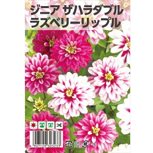 WjA Un_u Xx[bv 1 30 i펪 4`7j