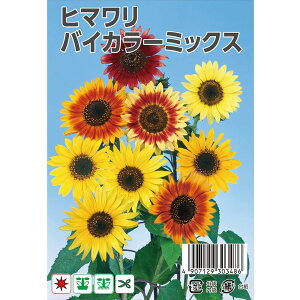 Ђ܂ yoCJ[~bNXz  50 i펪 4`6j