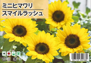 ~jЂ܂ yX}CbVz  10 i펪 4`8j