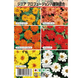 WjA vt[W d獬 1 25 i펪 4`7j