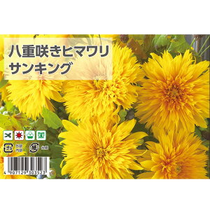 d炫Ђ܂ yTLOz  20 i펪 4`6j