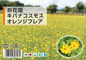  RXX yԔ LoiRXXz 10ml i펪 4`7j