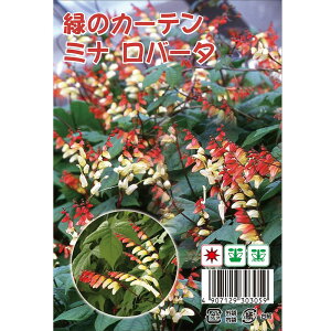 ΂̃J[e ~io[^ 1 15 i펪 4{`6j