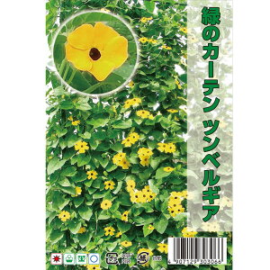 ΂̃J[e c׃MA 1 20 i펪 4`6j