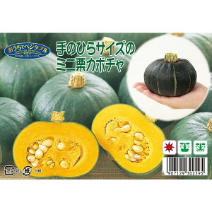 ̂ЂTCỸ~jIJ{` 1 8 i펪 3{`6{j