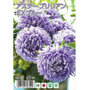 AX^[ uAEX u[ 1 20 i펪 4`6j