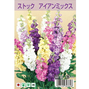 XgbN yACA~bNXz 30 i펪 7`10j