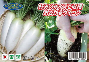 yD݂̃TCYŎnł邨Ă卪z 2.5ml i펪 7`10{j