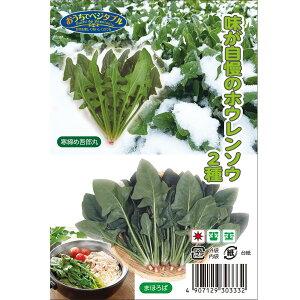 ̃zE\E 2 yߌY&܂ق΁z e10ml i펪 9`10j