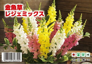  WF~bNX 1 30 i펪 9{`10j