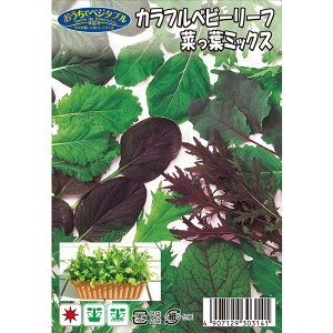 Jtxr[[t y؂t~bNXz 20ml i펪 3`6{j