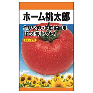 �g�}�g �y�z�[�������Y�z �^�L�C��z ��E���� �i0.2ml�j F1�i����z��j
