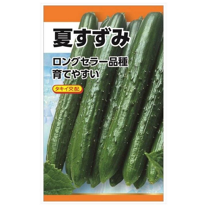 新素材新作 キュウリの種 夏太郎 小袋 約30粒 野菜の種