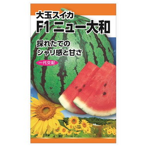 XCJ yF1j[a(ʃXCJ)z E i2mlj