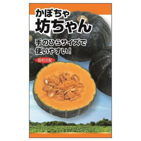 カボチャ 【協和交配坊ちゃんかぼちゃ】 種・小袋 （5粒） F1（一代交配種）