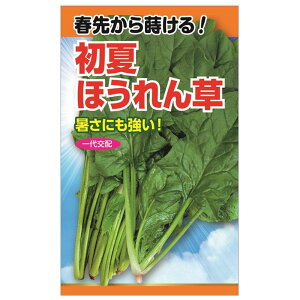 ق yĂق񑐁z E i20mlj F1izj