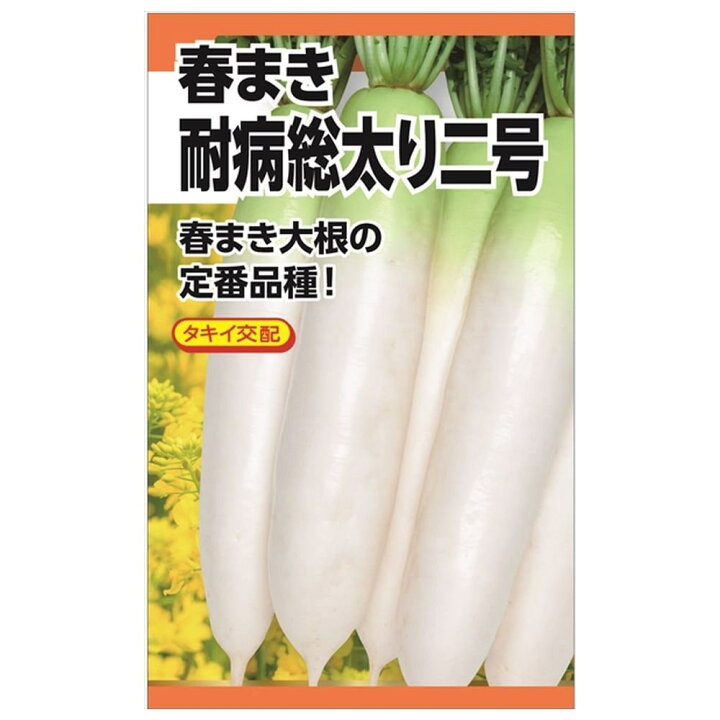 楽天市場 大根 タキイ交配 春まき耐病総太り二号 種 小袋 2ml 苗木部 by 花ひろばオンライン 楽天市場 大根 タキイ交配 春まき耐病総太り二号 種 小袋 2ml 苗木部 by 花ひろばオンライン
