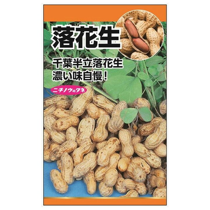 楽天市場 落花生 ピーナッツ 種 小袋 15ml 苗木部 ｂｙ 花ひろばオンライン