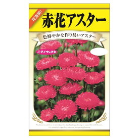 【赤花アスター】 種・小袋 （0.5ml） 固定種