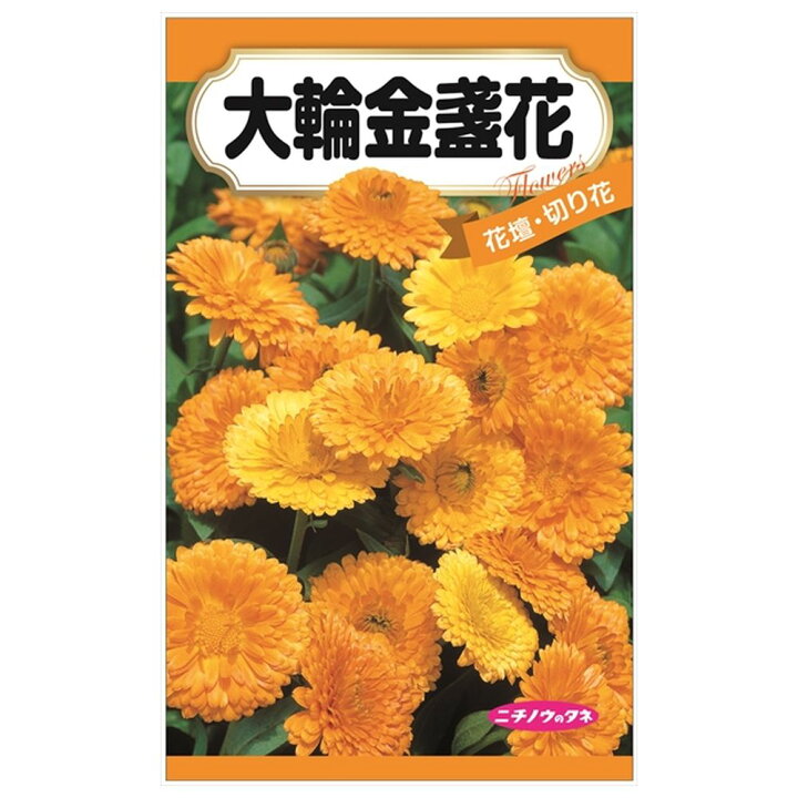楽天市場】【大輪金盞花 （キンセンカ）】 種・小袋 （2ml） 固定種 