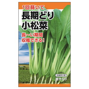 yǂ菬؁z E i4mlj F1izj