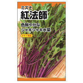 【紅法師(サラダ水菜)[登録品種・小袋]】 種・小袋 （1.5ml） 選抜採種育成種