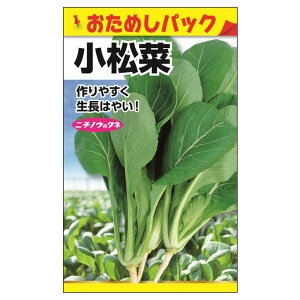 y (߂pbN)z E i1.5mlj Œ