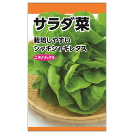 レタス 【サラダ菜】 種・小袋 （4ml） 固定種