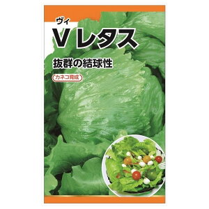 ^X yV^Xz E i2mlj I̎琬