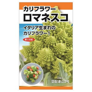 ubR[ Jt[ y}lXRz E i0.2mlj F1izj