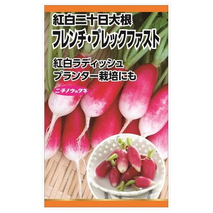 ���f�B�b�V�� �y�t�����`�E�u���b�N�t�@�X�g(�g����\���卪)�z ��E���� �i5ml�j �Œ��