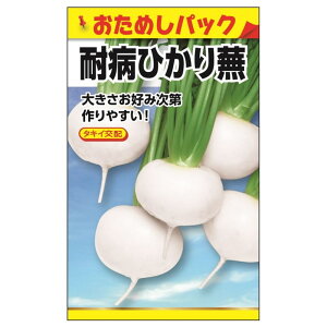  y^LCz ϕaЂ蕓 (߂pbN)z E i0.5mlj F1izj