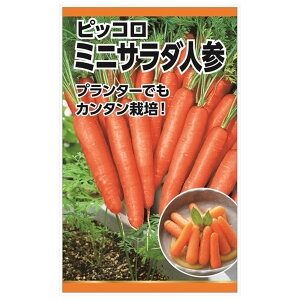 ɂ񂶂 y~jT_lQ(sbR)z E i3mlj Œ