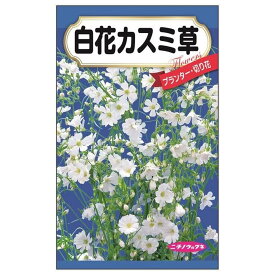 【白花カスミ草】 種・小袋 （1ml） 固定種