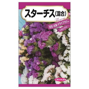 yX^[`Xz E i0.1mlj Œ