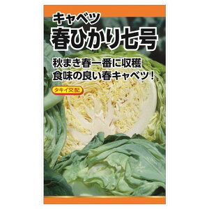 Lxc y^LCz tЂ莵(Lxc)z E i0.4mlj F1izj