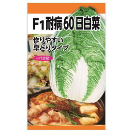 白菜 【F1耐病60日白菜】 種・小袋 （3ml）